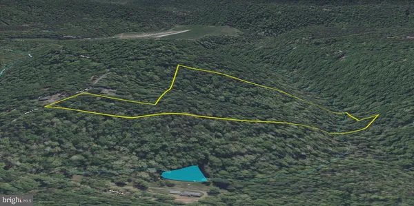 a view of a dry yard