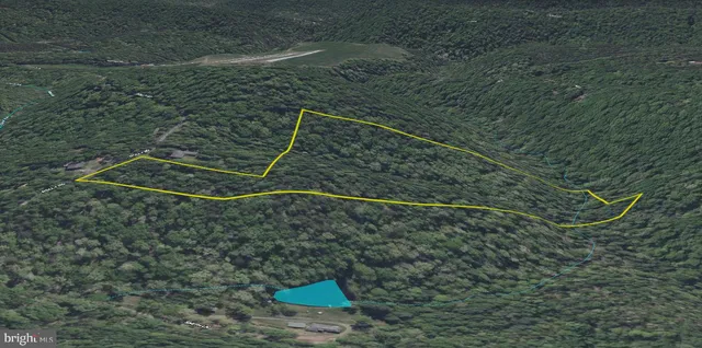 a view of a dry yard