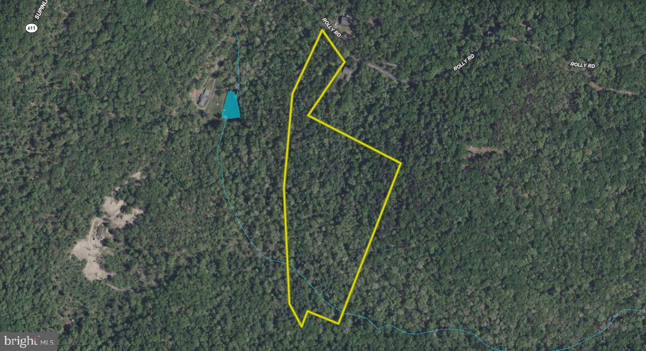 Rolly Rd Mount Mount Jackson, VA 22842 - Photo 22 of 24 Gallery Image 22