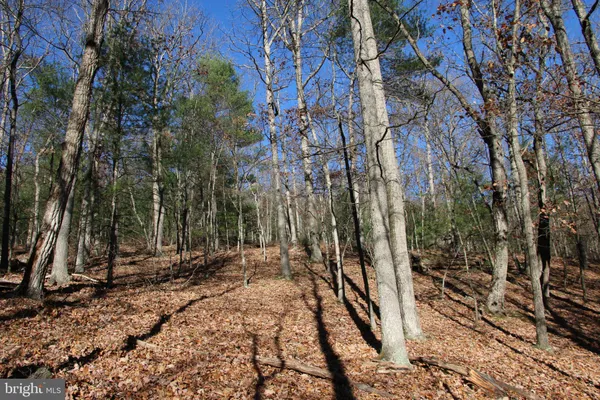 a view of backyard space
