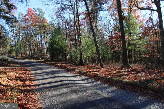 a view of outdoor space with trees