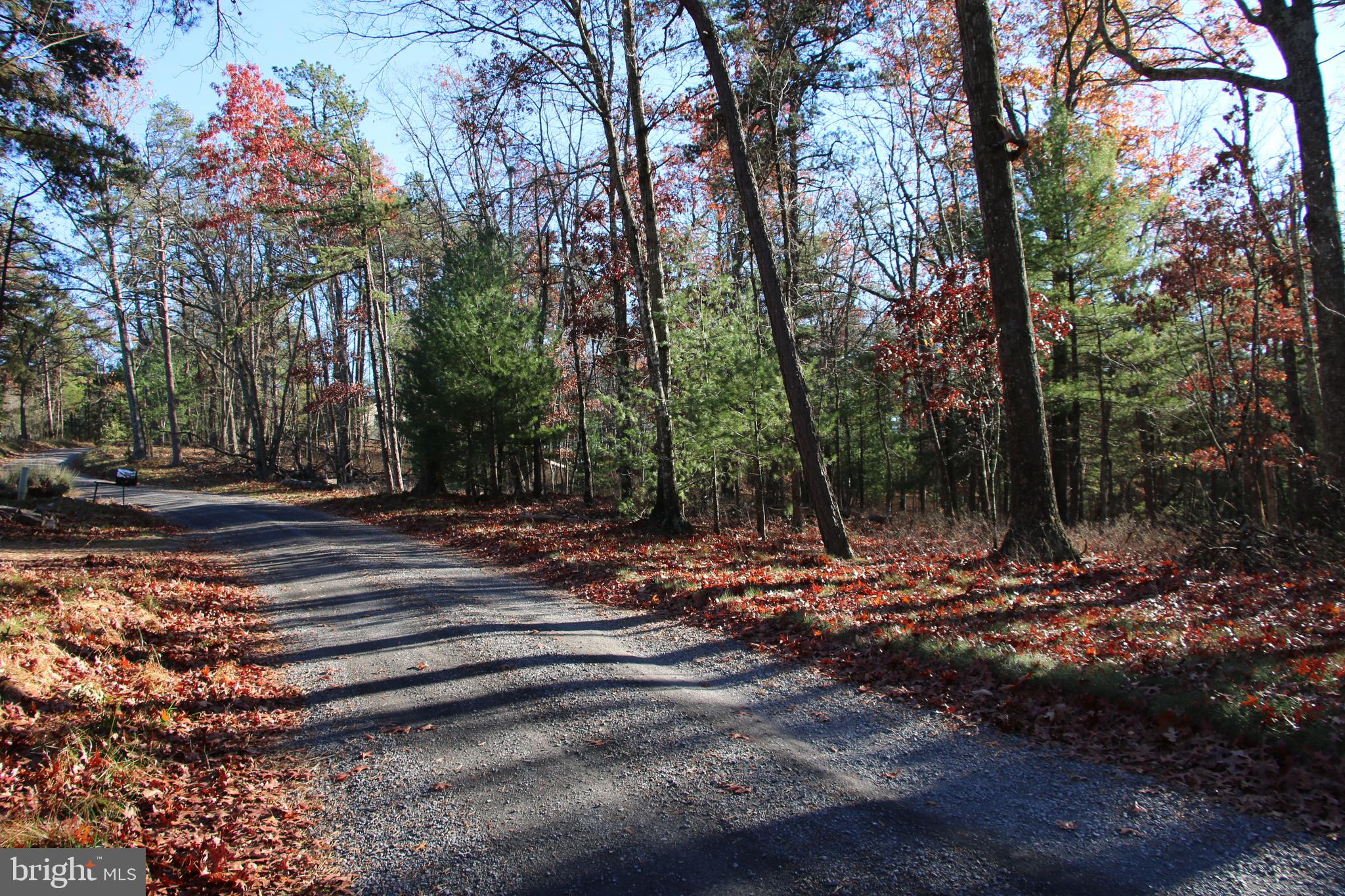 Rolly Rd Mount Mount Jackson, VA 22842 - Photo 8 of 24 Gallery Image 8