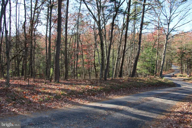 a view of street with trees