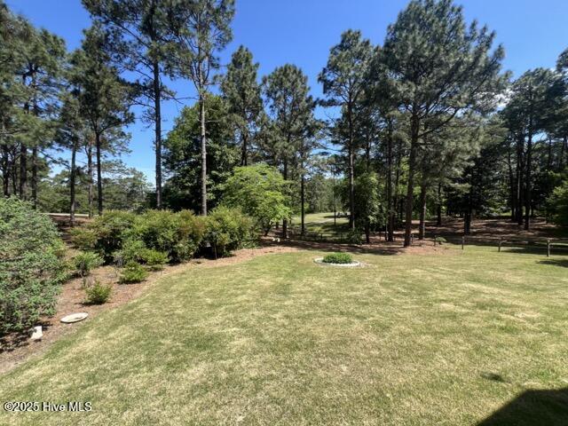 2104 Airport Road Whispering Pines, NC 28327 - Photo 37 of 45 1B16DEDD-68FB-440C-AB0D-F2FA558B5A6B Med