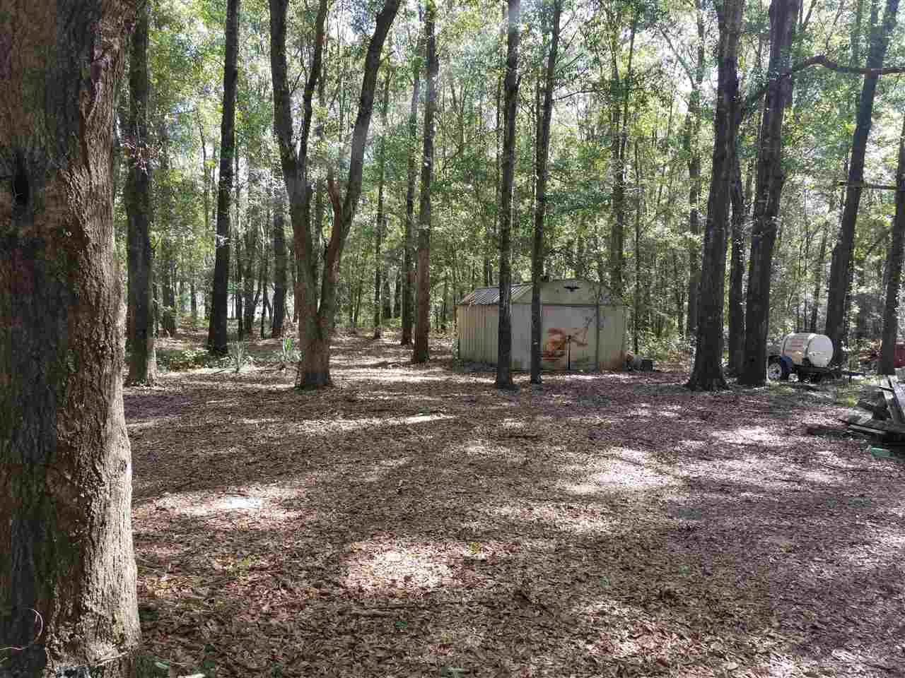 1297 Riverview Road Havana, FL 32333 - Photo 5 of 20 Gallery Image 5