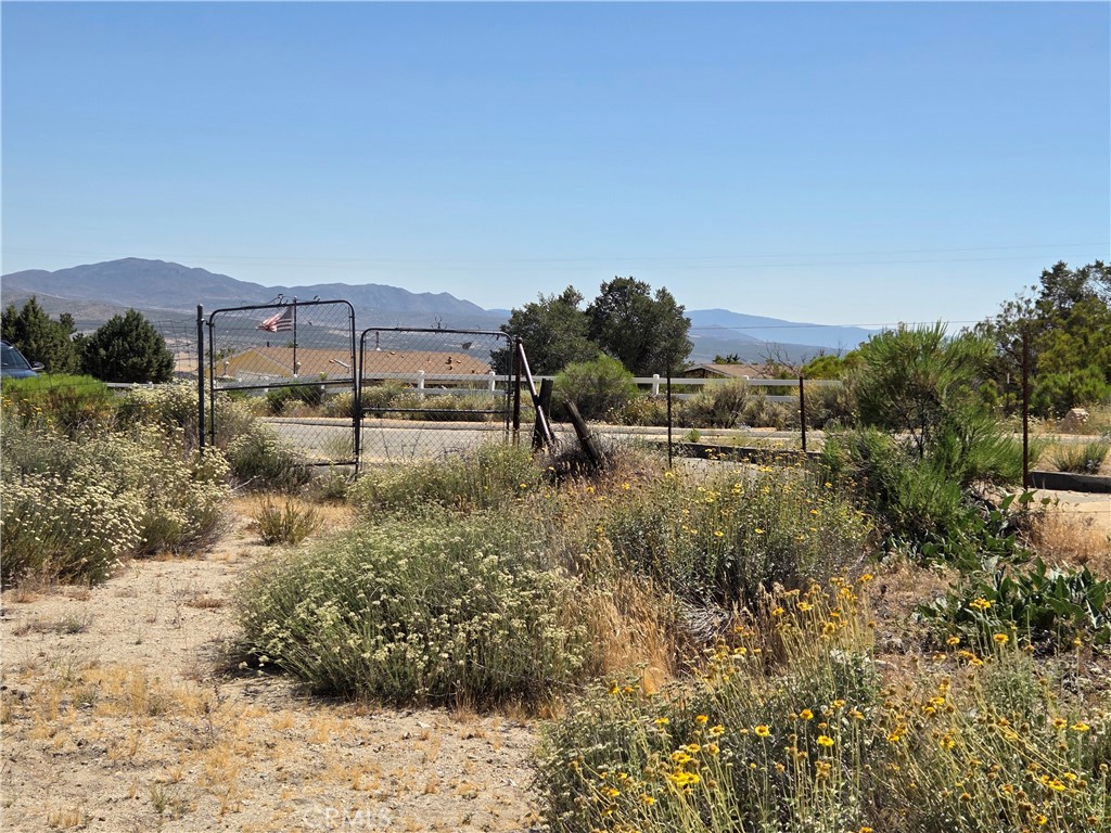 37210 Bohlen Road Anza, CA 92539 - Photo 7 of 22