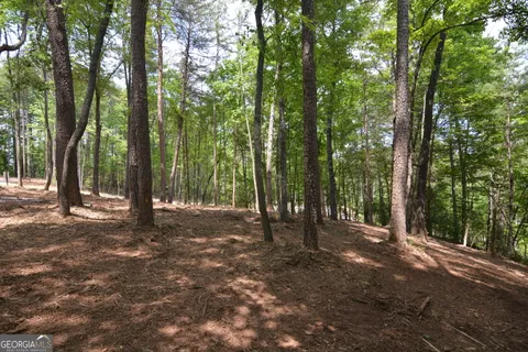 $1,525,000 | 5 Murphy Highway, Mineral Bluff, GA 30559