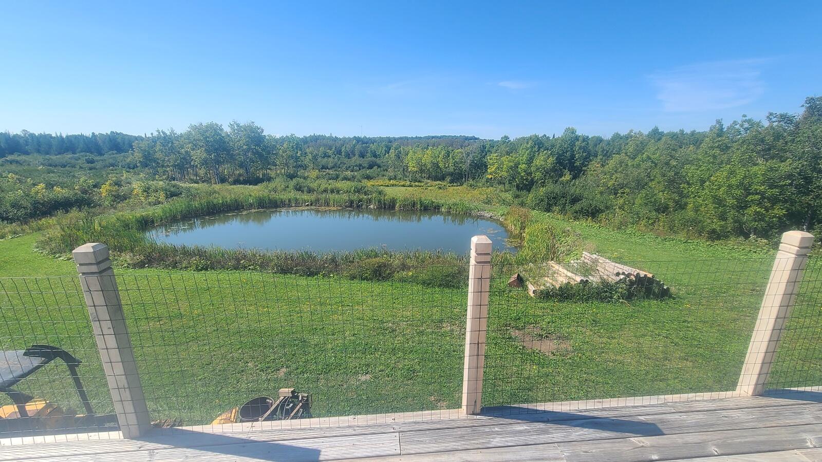 865 Masardis Road Ashland, ME 04732 - Photo 24 of 39 20250904_110544