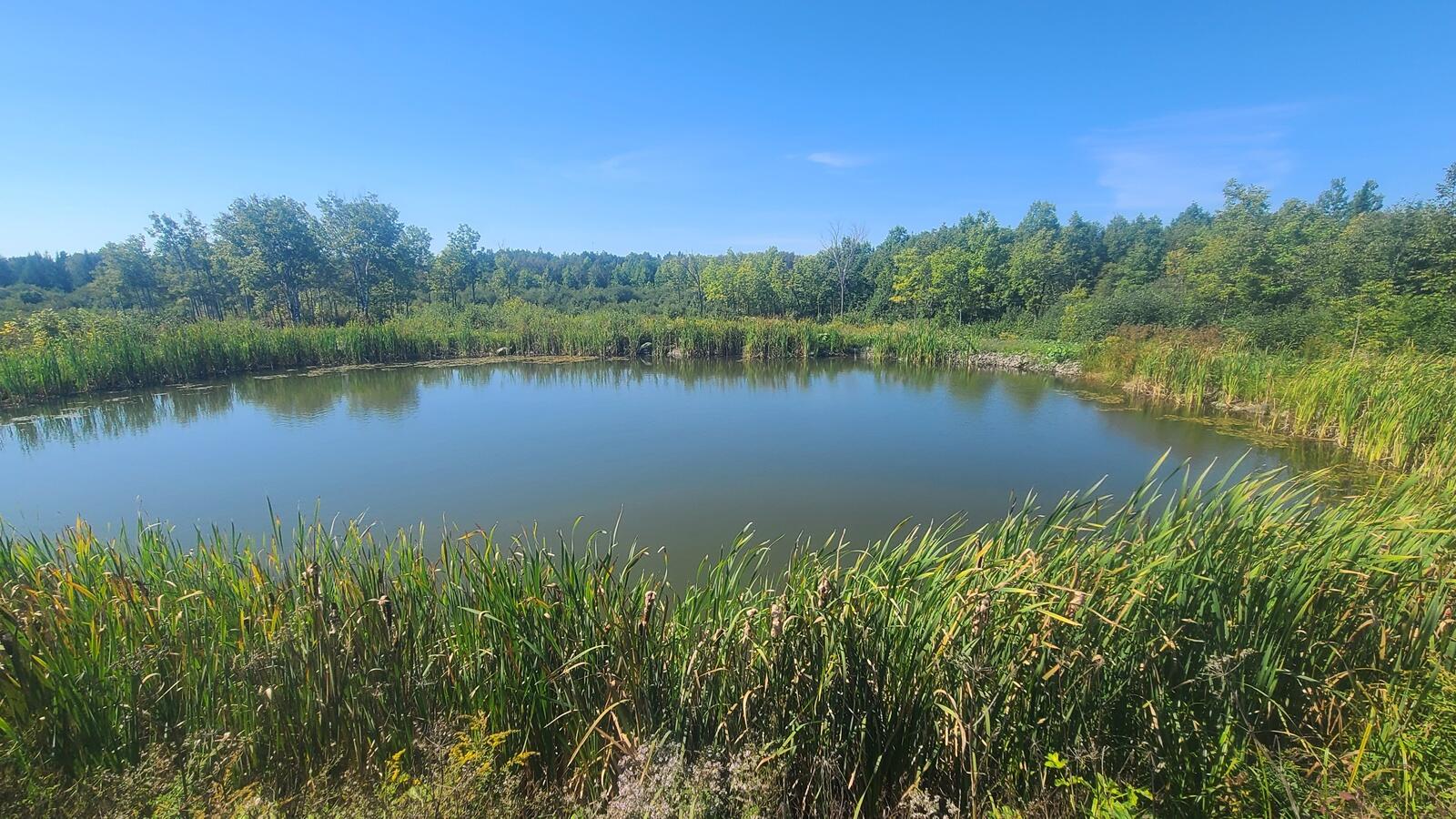 865 Masardis Road Ashland, ME 04732 - Photo 28 of 39 20250904_111104