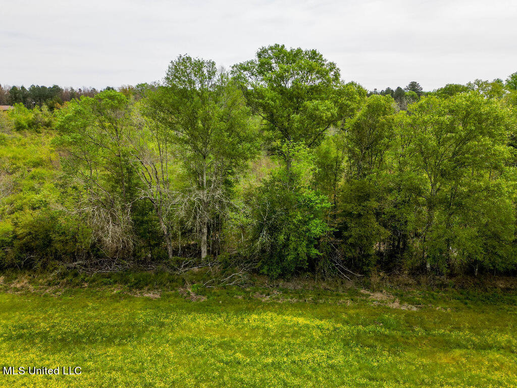 Cooper Road Magee, MS 39111 - Photo 3 of 6 02
