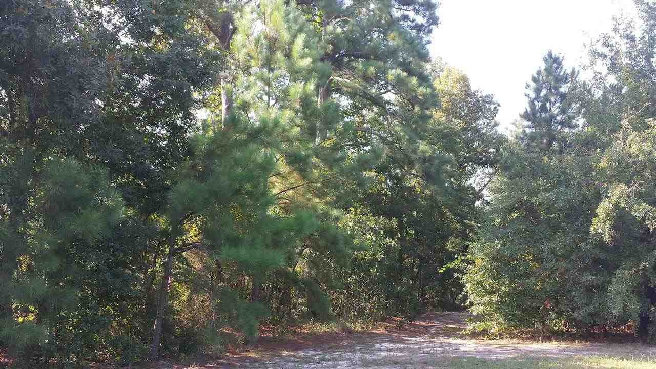 Lot 3 Bryant Road Cameron, NC 28326 - Photo 1 of 3 Primary Photo