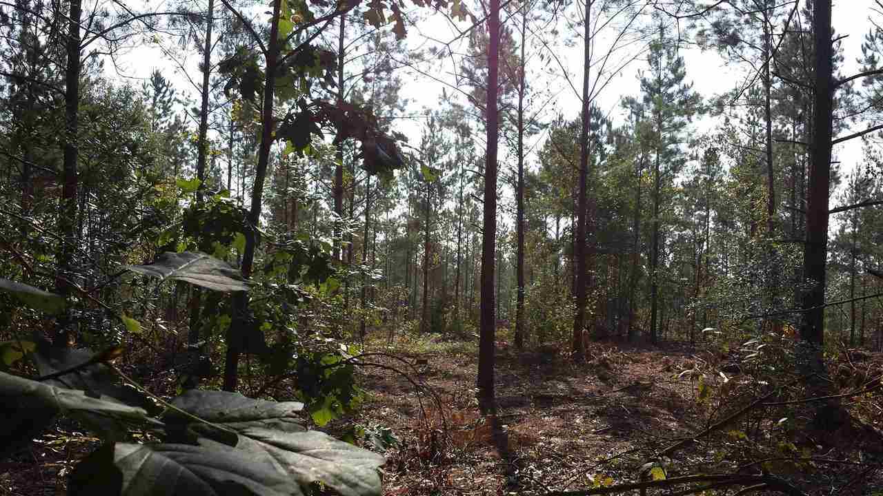 Lot 3 Bryant Road Cameron, NC 28326 - Photo 3 of 3 Additional Photo