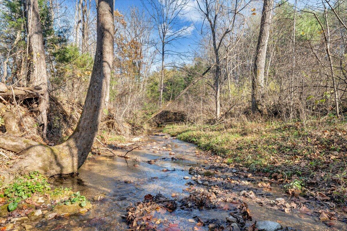 7758 Old Fincastle Road Fincastle, VA 24090 - Photo 64 of 99 074-MIB07258