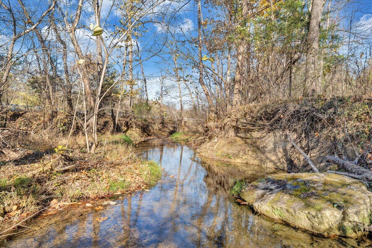 7758 Old Fincastle Road Fincastle, VA 24090 - Photo 74 of 99 a picture of flowers