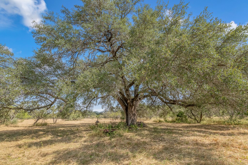 677 Kahn Drive Rio Frio, TX 78879 - Photo 16 of 32