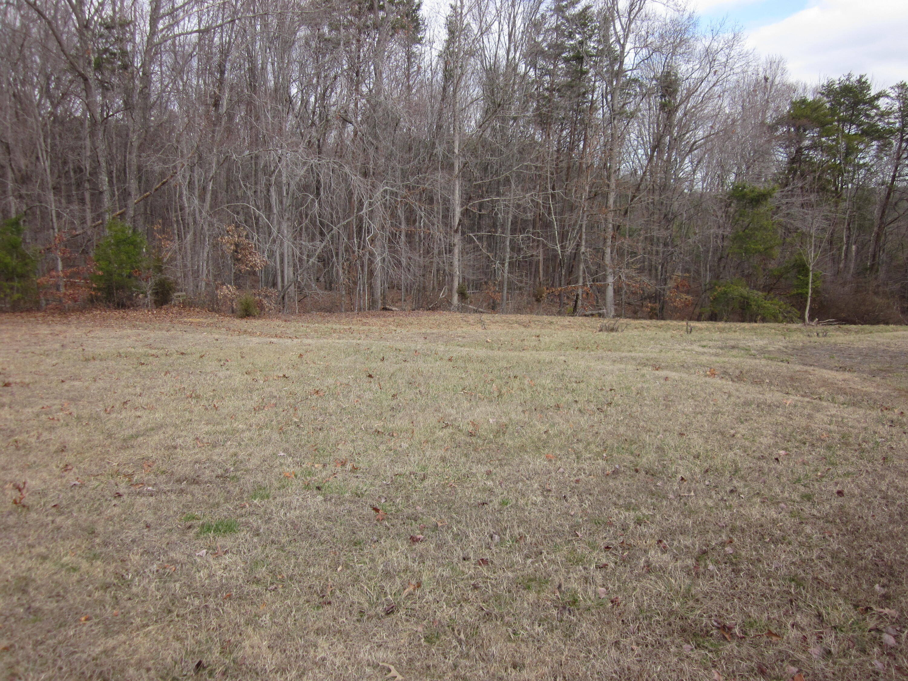 11740 Mt Cross Road Dry Fork, VA 24549 - Photo 19 of 20 11740 Mount Cross (16)