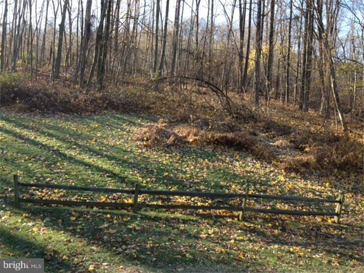 318 Spring Valley Road Reading, PA 19605 - Photo 22 of 23 Gallery Image 22