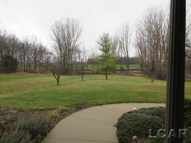 1812 Dinius Road Tecumseh, MI 49286 - Photo 47 of 48 VIEW FROM FRONT PORCH