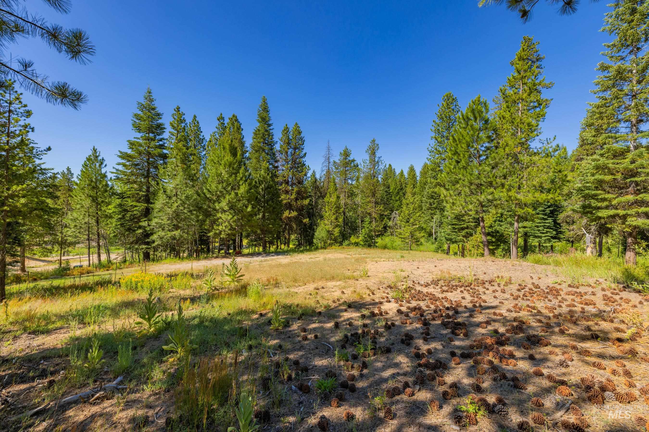 151 Timber Haven Place Cascade, ID 83611 - Photo 18 of 41