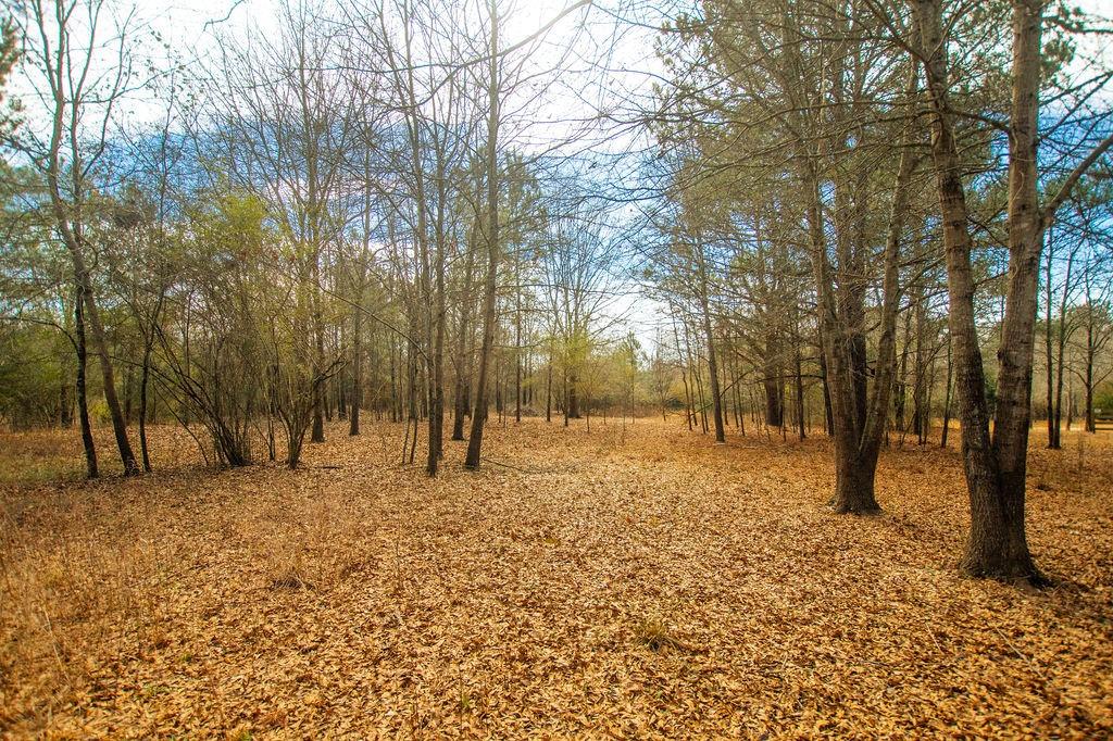 1 Sandy Ford Road Social Circle, GA 30025 - Photo 1 of 1 a backyard of a house with lots of green space
