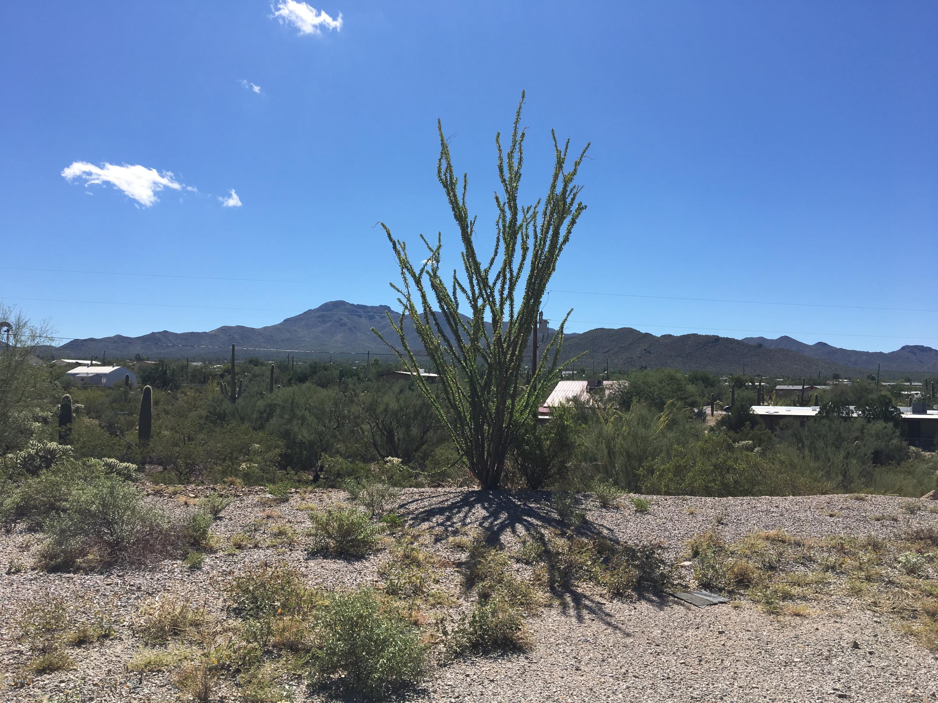 9980 West Picture Rocks Road Tucson, AZ 85743 - Photo 4 of 6