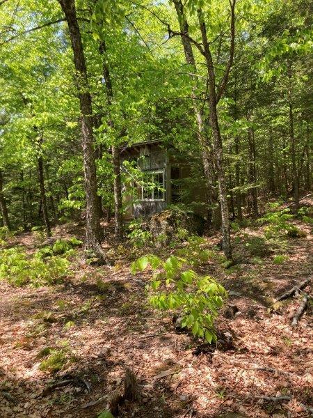 186 Orrin Road Ellsworth, ME 04605 - Photo 13 of 13 Land