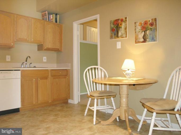2120 Green Watch Way, Unit 10/201 Reston, VA 20191 - Photo 12 of 19 Kitchen #3