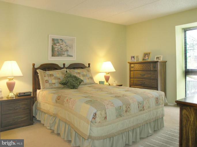 2120 Green Watch Way, Unit 10/201 Reston, VA 20191 - Photo 13 of 19 Master Bedroom
