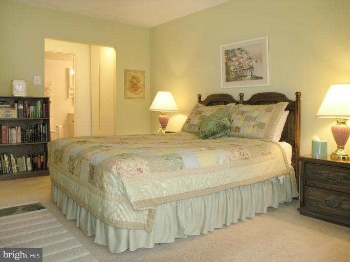 2120 Green Watch Way, Unit 10/201 Reston, VA 20191 - Photo 14 of 19 Master Bedroom #2