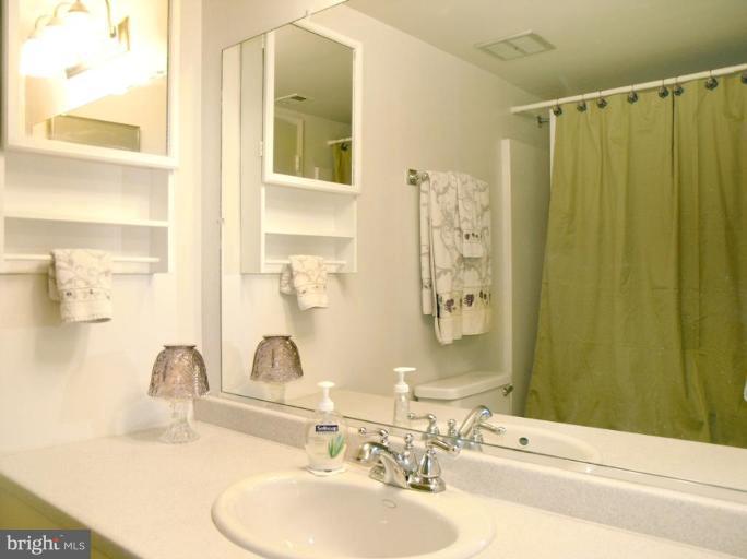 2120 Green Watch Way, Unit 10/201 Reston, VA 20191 - Photo 15 of 19 Master Bath