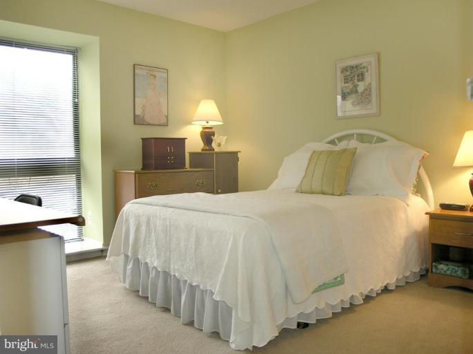 2120 Green Watch Way, Unit 10/201 Reston, VA 20191 - Photo 16 of 19 Bedroom #2