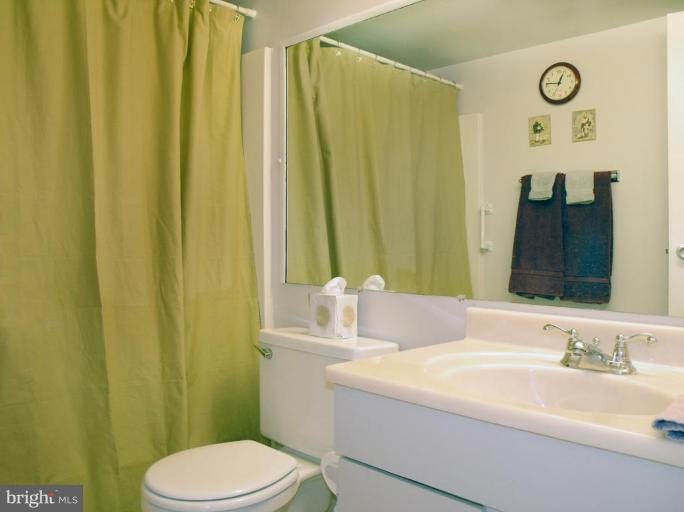 2120 Green Watch Way, Unit 10/201 Reston, VA 20191 - Photo 18 of 19 Bath #2
