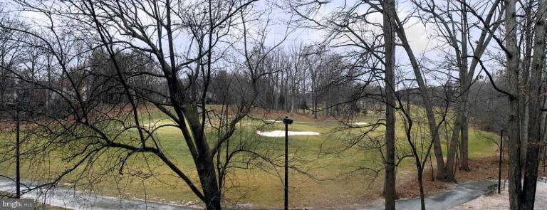 Deck - View from