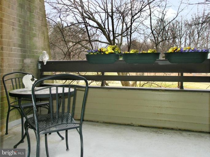 2120 Green Watch Way, Unit 10/201 Reston, VA 20191 - Photo 8 of 19 Deck