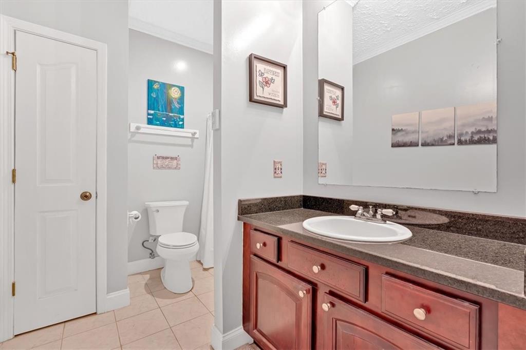 1430 Jasper Court Ranger, GA 30734 - Photo 21 of 49 a bathroom with a granite countertop sink toilet and painting on the wall