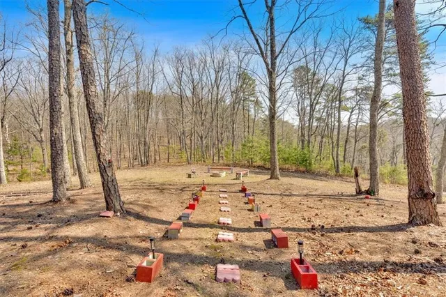 a backyard of a house with lots of green space