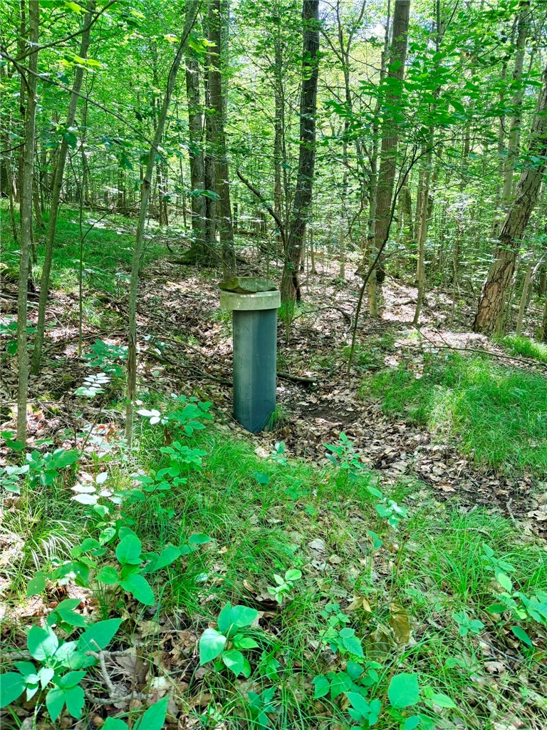 1667 Coon Hollow Road Orange, NY 14812 - Photo 30 of 41 Rainwater catchment system