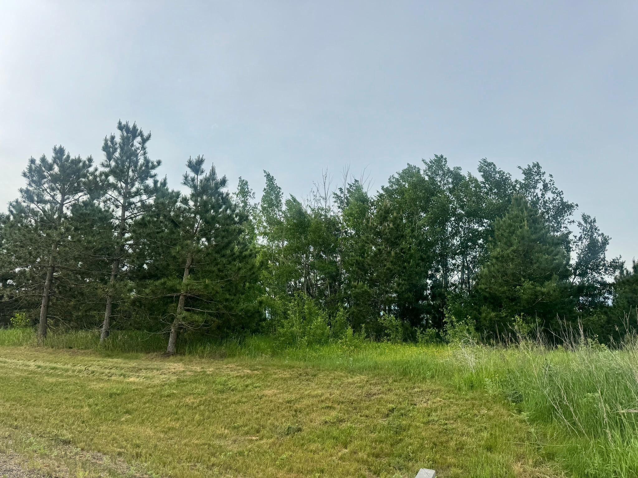 3 County 13 Nevis, MN 56467 - Photo 1 of 2