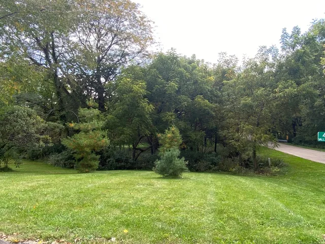 a view of a yard with a tree