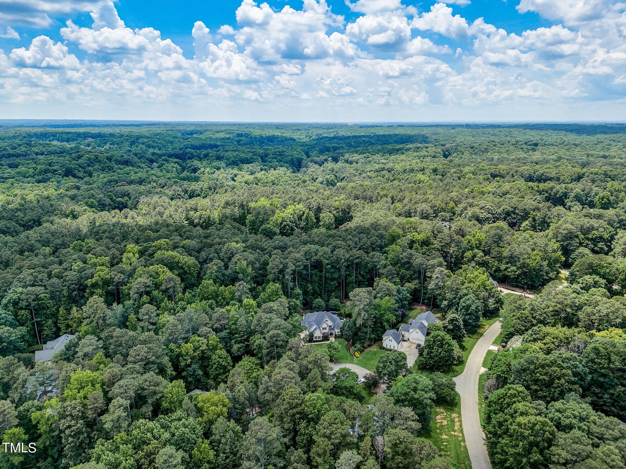 5101 Roseland Court Raleigh, NC 27613 - Photo 61 of 71 an aerial view of residential houses with outdoor space and trees