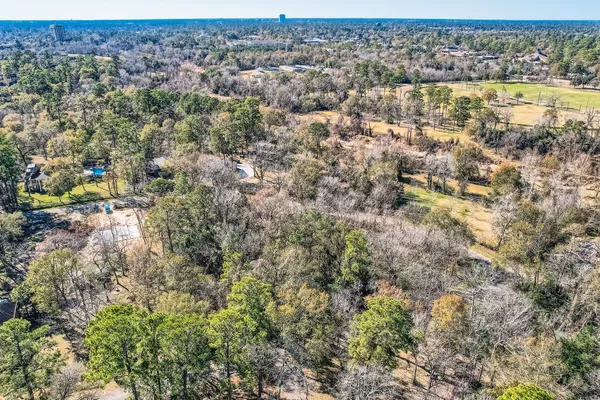 an aerial view of forest
