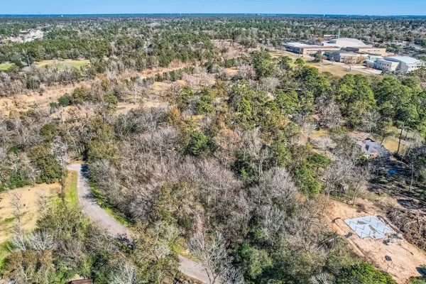 a view of a city with lush green forest