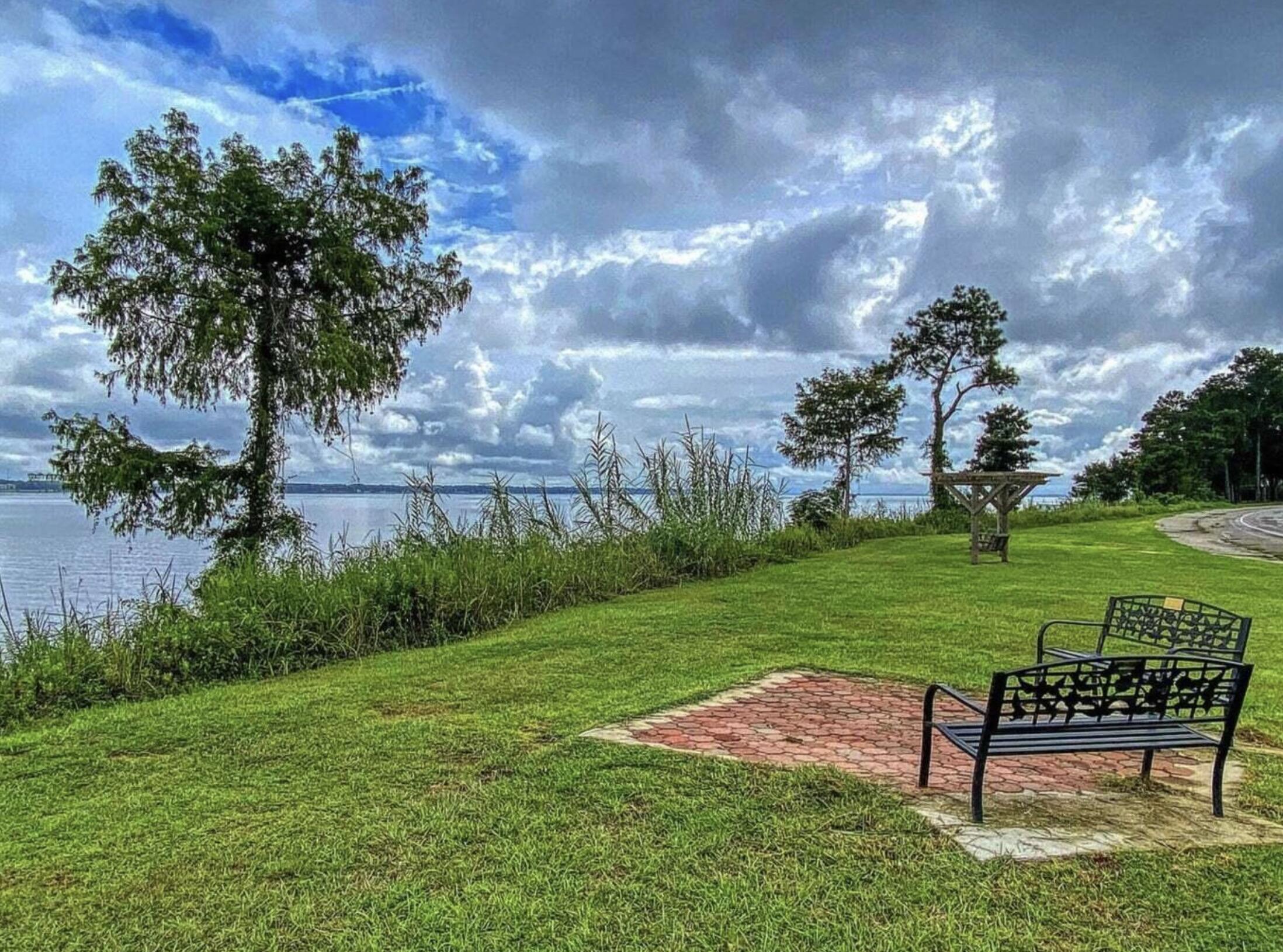 202 Cooper Drive Santee, SC 29142 - Photo 57 of 61 Lake Views