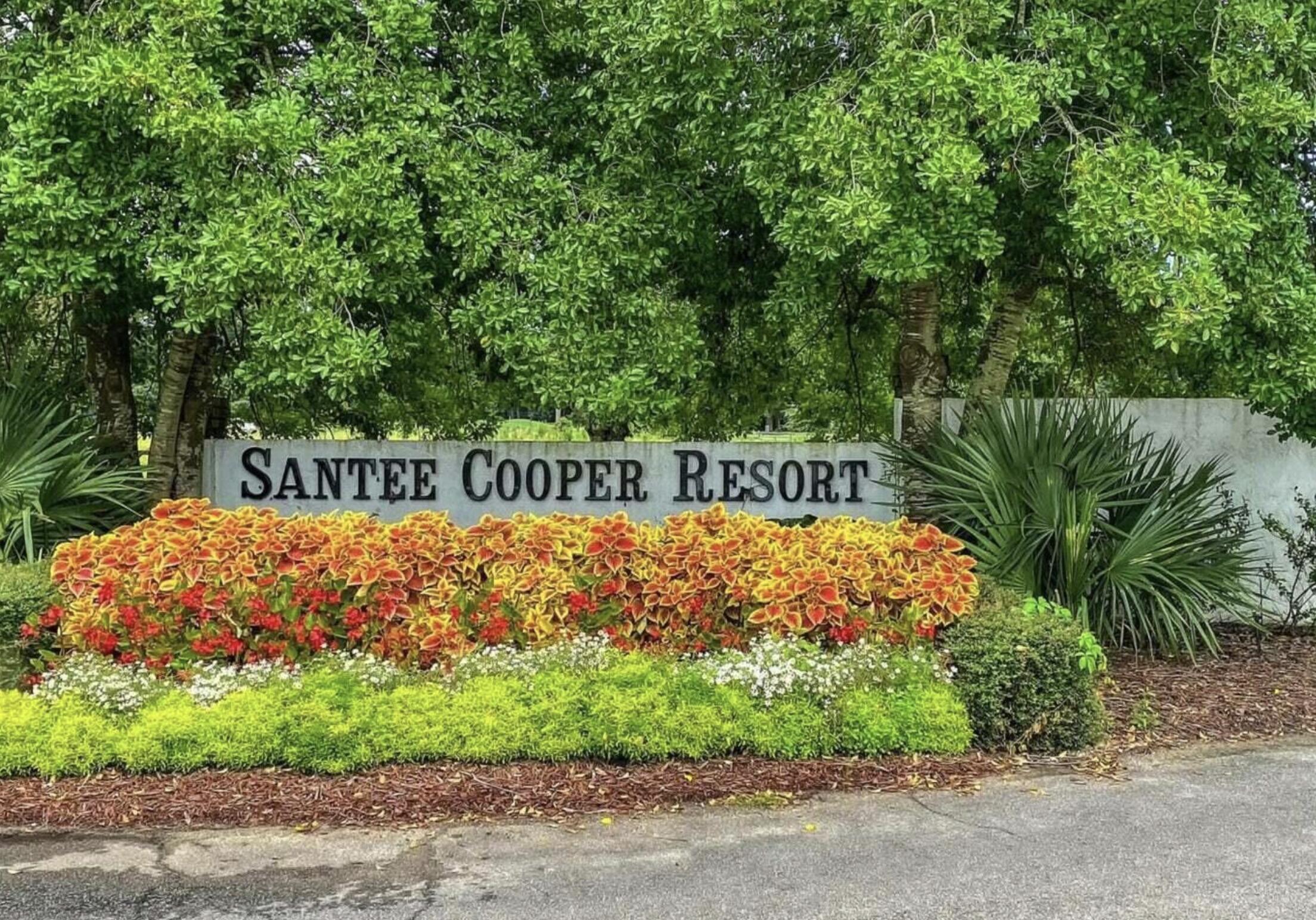 202 Cooper Drive Santee, SC 29142 - Photo 61 of 61 Santee Cooper Resort