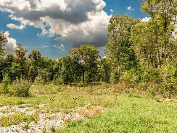 $49,900 | V/l Diplomat Drive, Stow, OH 44224