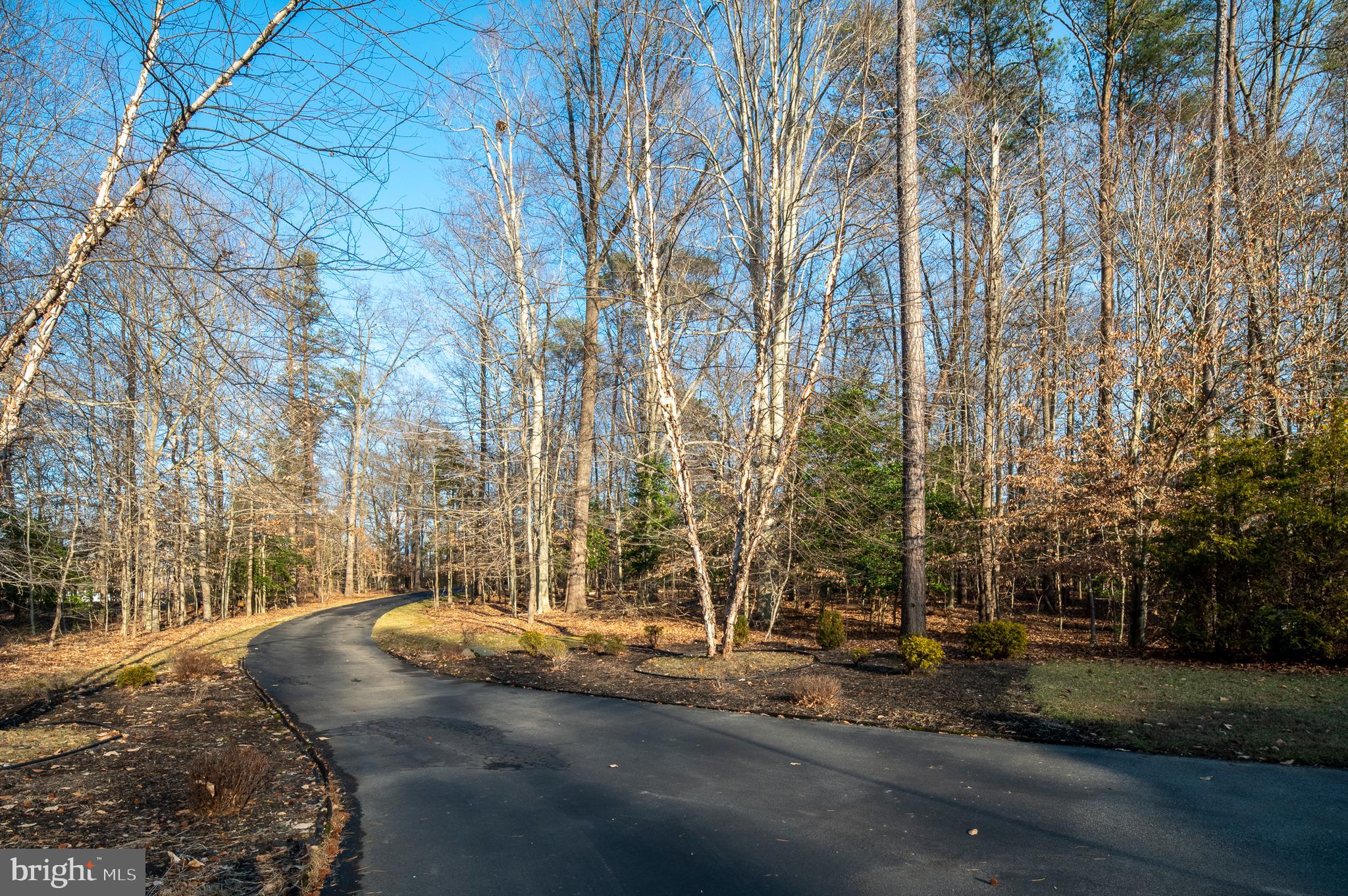 16301 Accolawn Road Accokeek, MD 20607 - Photo 6 of 77 Driveway