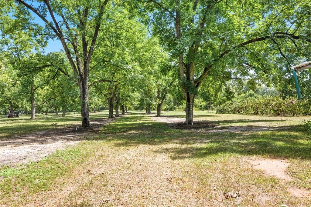 1540 Dunn Road Quitman, GA 31643 - Photo 19 of 51 Gallery Image 19