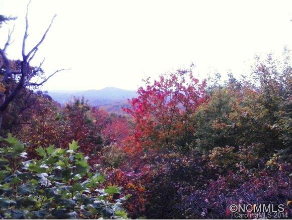 1339 Hogback Mountain Road Tryon, NC 28782 - Photo 19 of 24 Gallery Image 19
