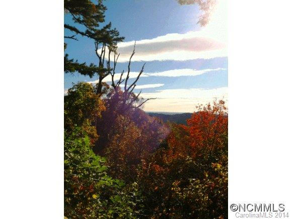 1339 Hogback Mountain Road Tryon, NC 28782 - Photo 20 of 24 Gallery Image 20