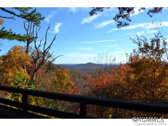 1339 Hogback Mountain Road Tryon, NC 28782 - Photo 3 of 24 Gallery Image 3